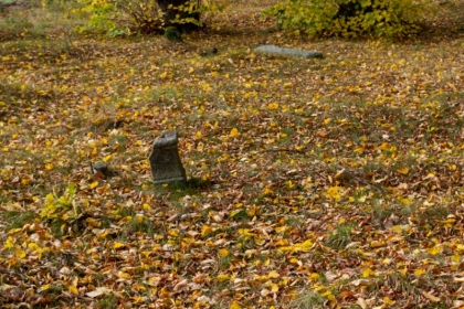 Pozůstatky