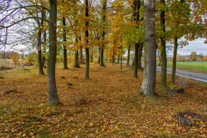Hřbitov dnes