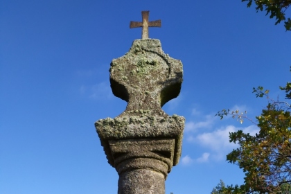 Pole