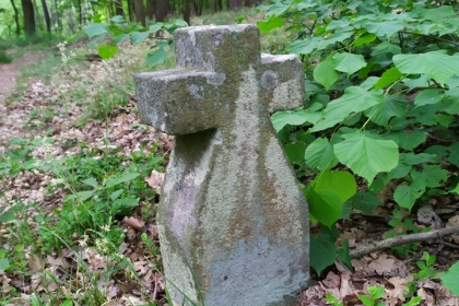 Bavorov