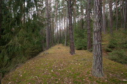 násyp