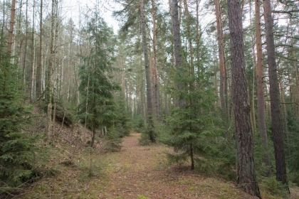 násyp